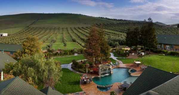 Purple Orchid Livermore, CA